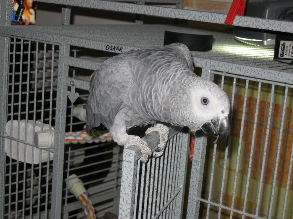 13.7.2009 007.JPG