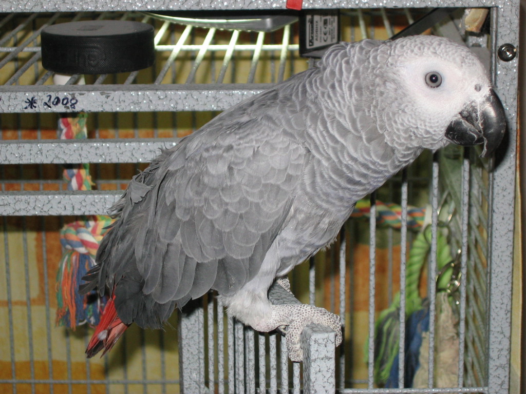 13.7.2009 008.JPG
