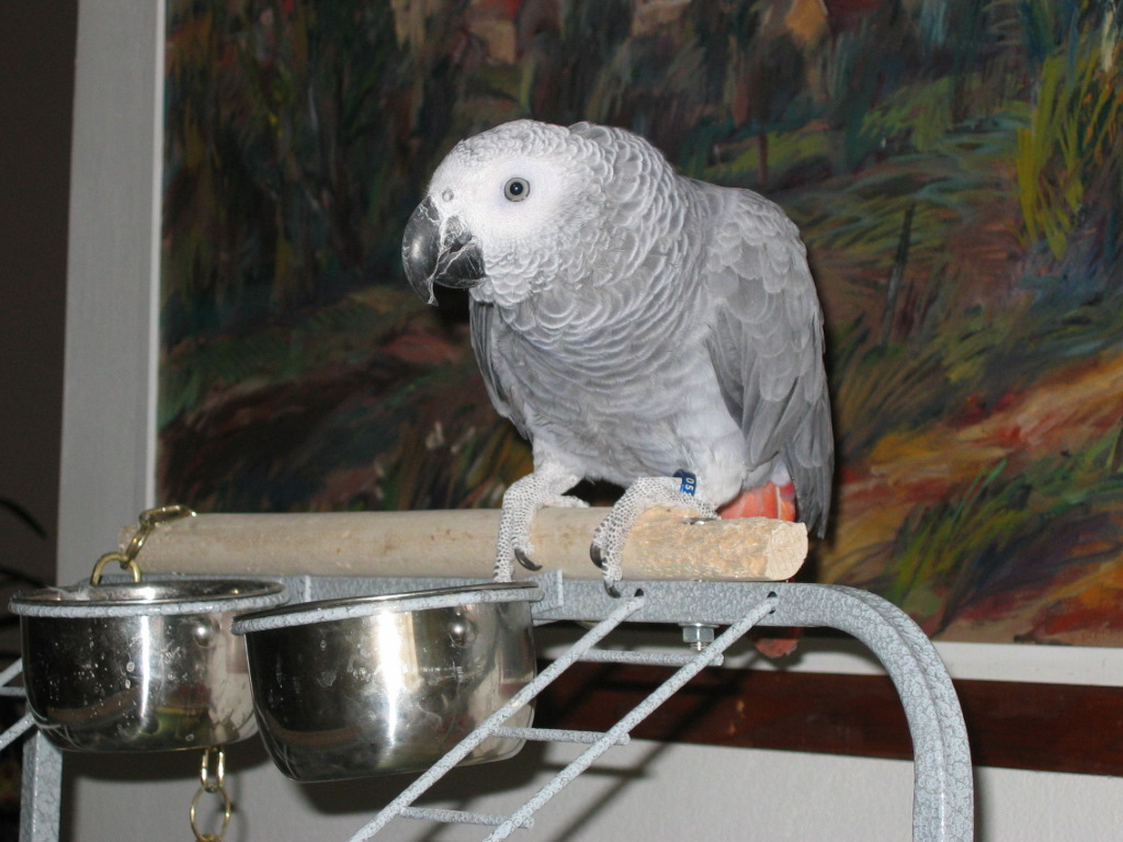 13.7.2009 009.JPG
